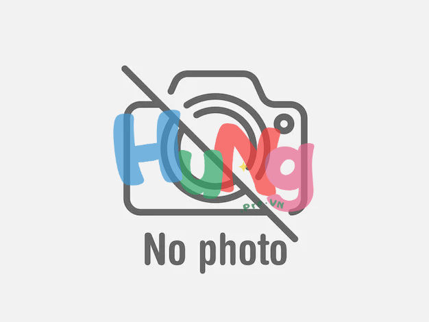 Hướng Dẫn Toàn Diện Tối Ưu Google PageSpeed